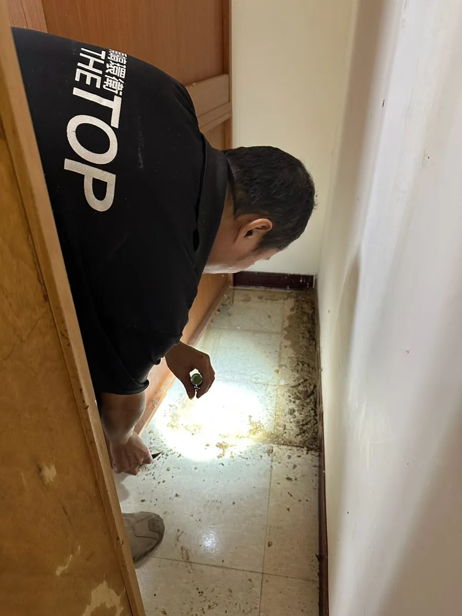 櫃子後方地面的白蟻碎屑