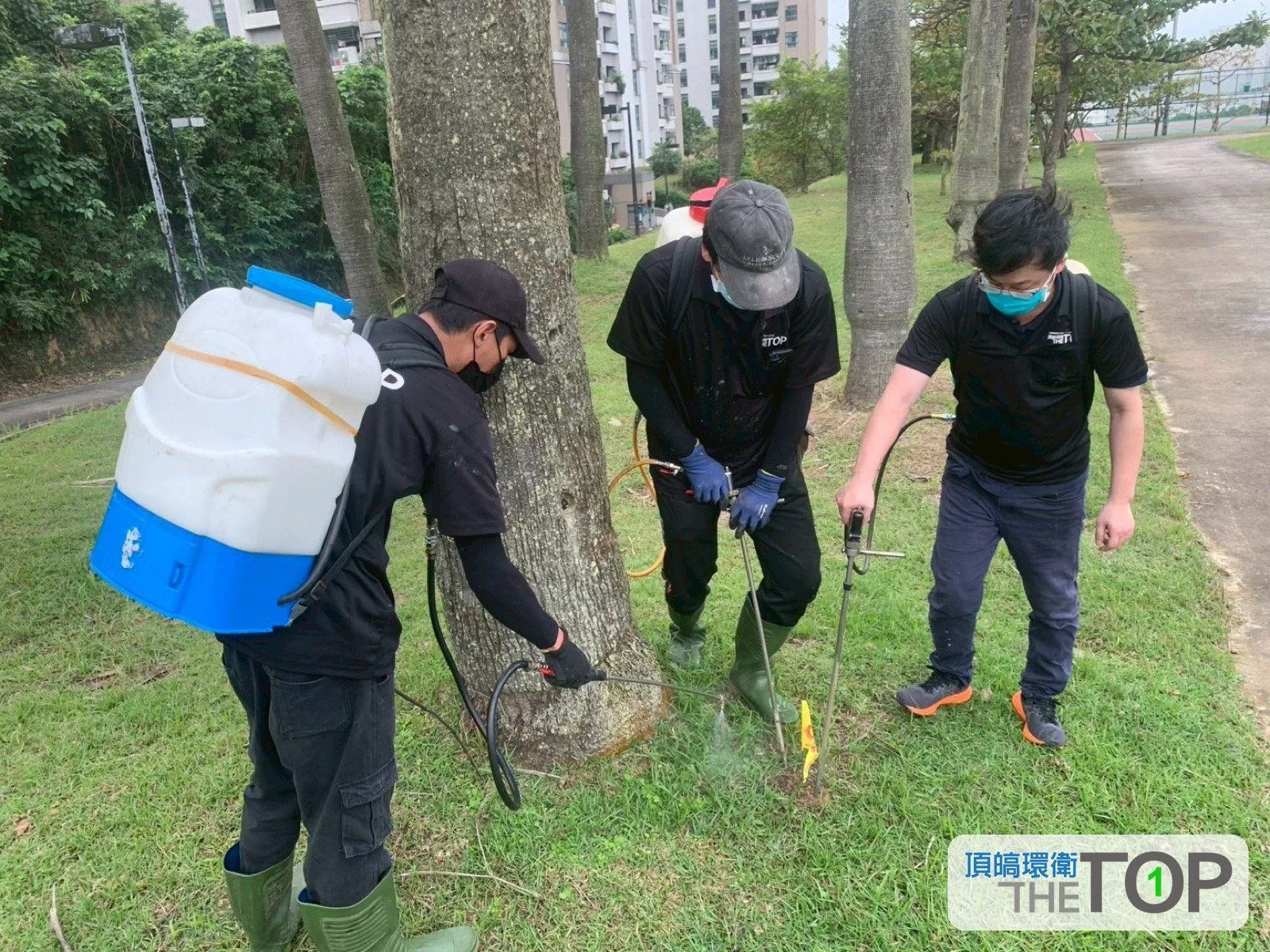 公園綠地樹木周邊環境處理