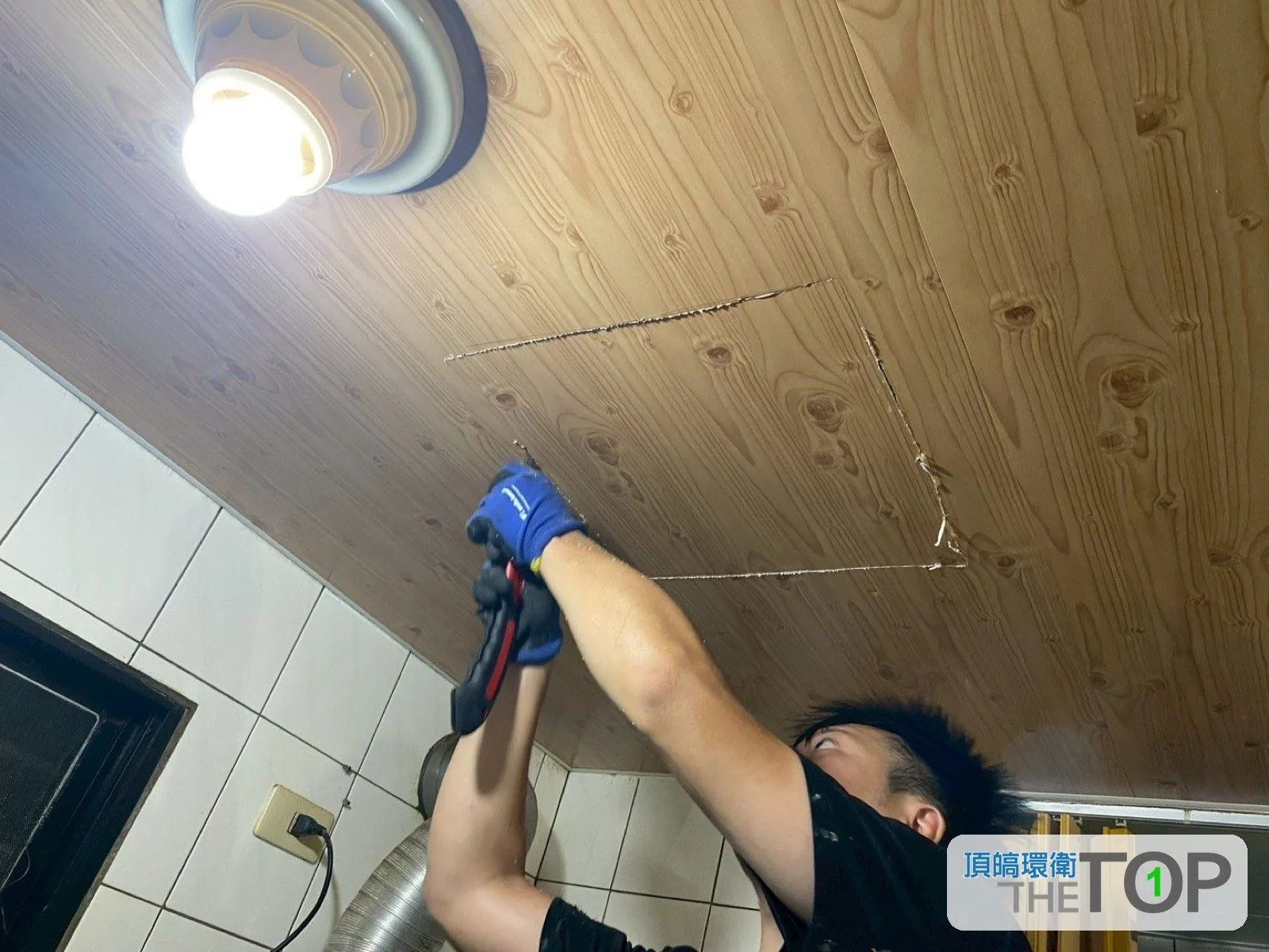 木質天花板開孔確認白蟻巢體